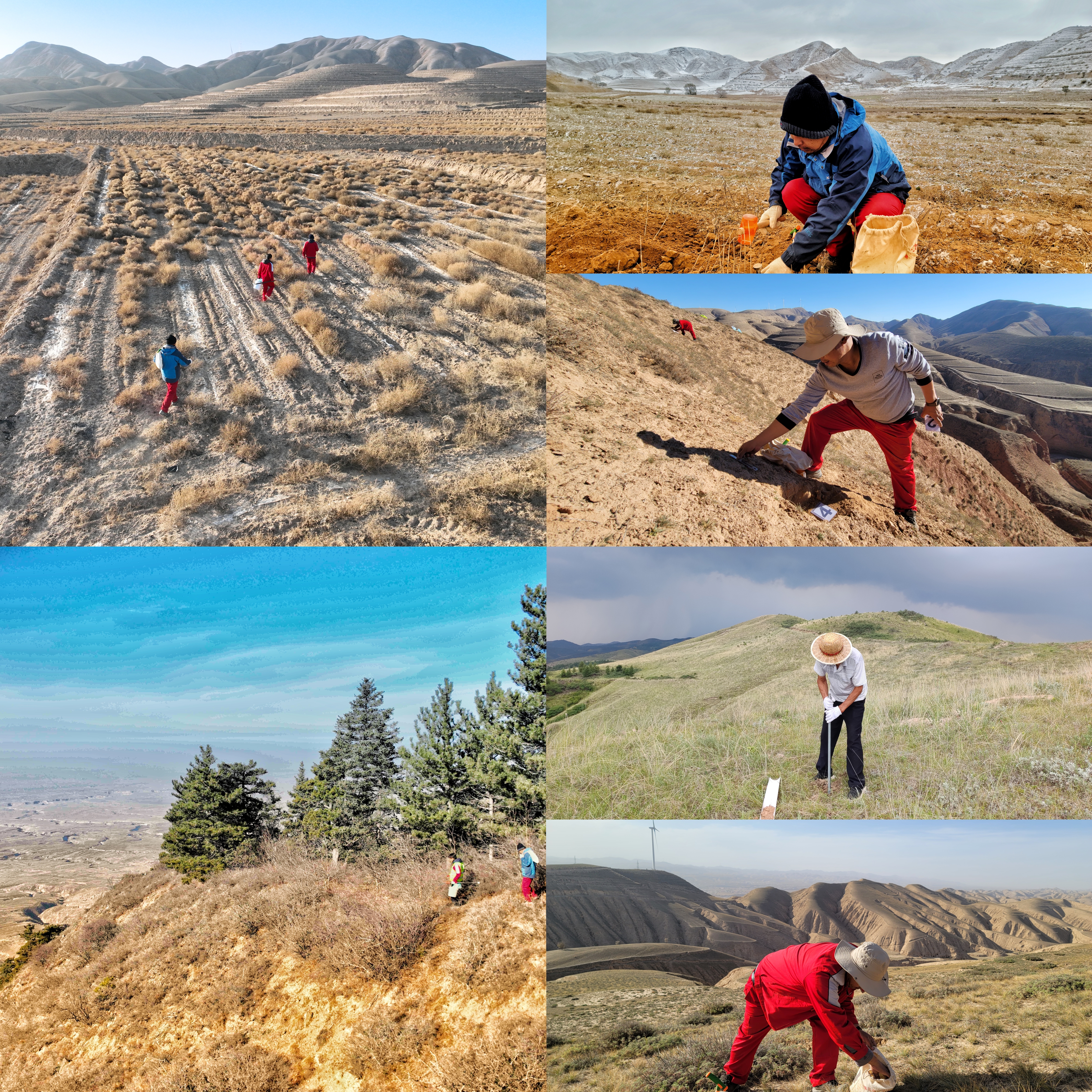 2.二等奖作品《行走在宁夏山川大地的土壤体检师》.jpg